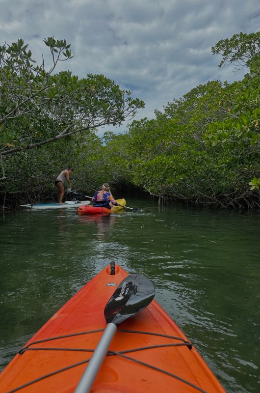 Southernmost Beach Resort Key West Florida kayaking