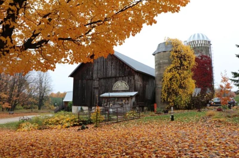 Discovering the Charm of Door County A Haven for Weddings and Getaways Door County Wisconsin nature